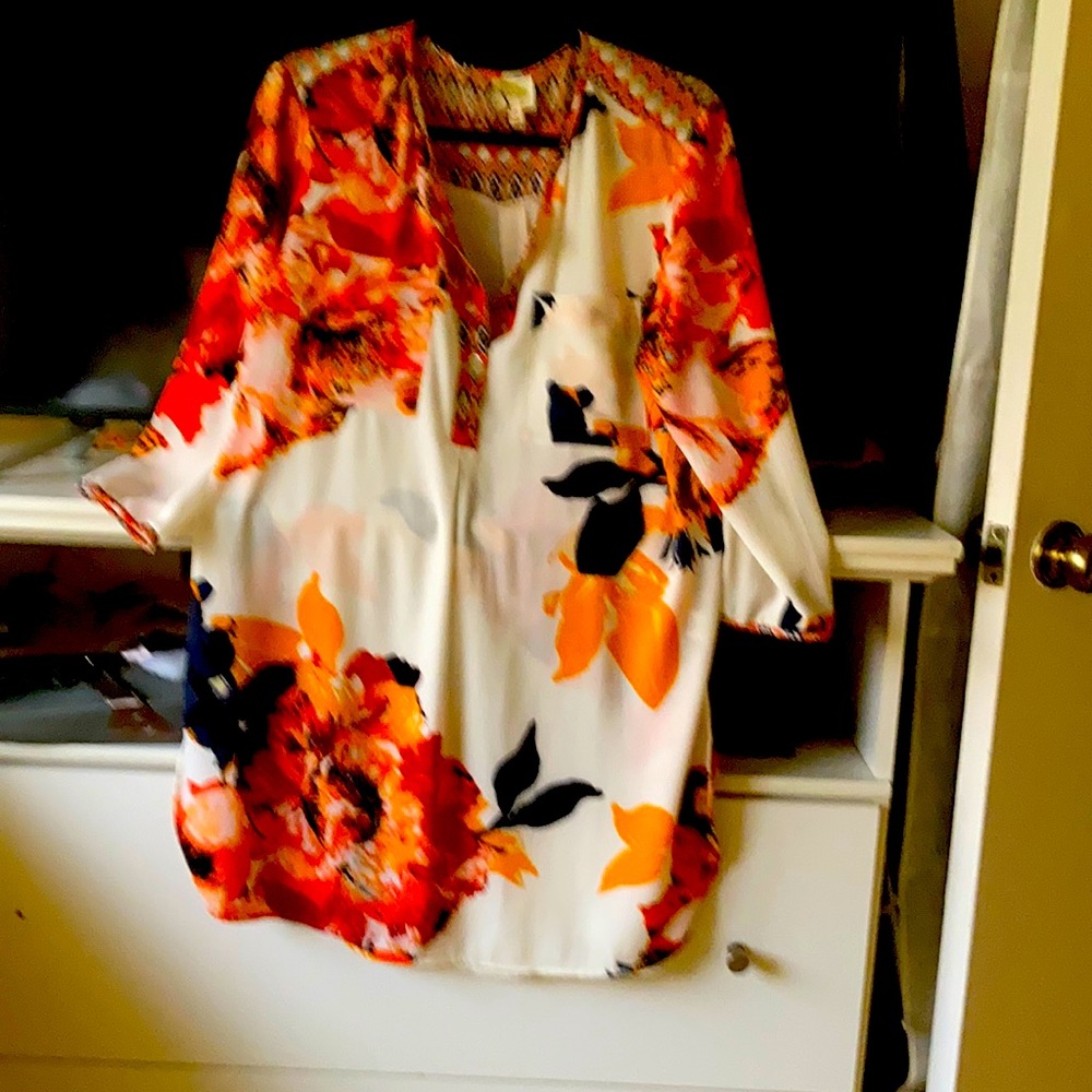 Gorgeous Fall Colored Tunic - image 1